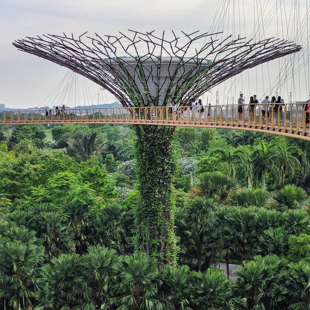 Gardens By the Bay - Singapore, Photo by Angelos Chronis